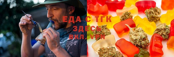 индика Елизово