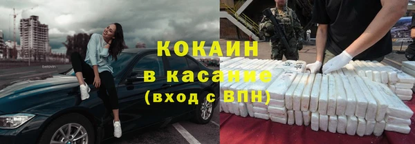 индика Елизово