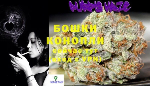 mix Ельня