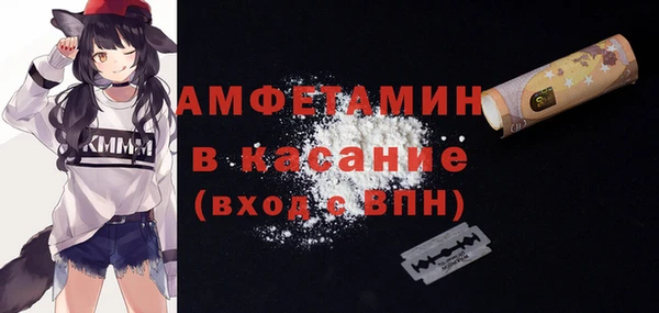 крисы Елабуга