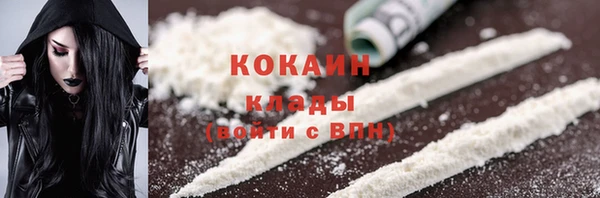 индика Елизово