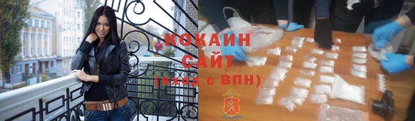 индика Елизово
