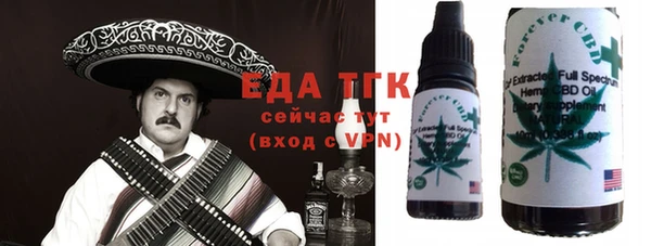 индика Елизово