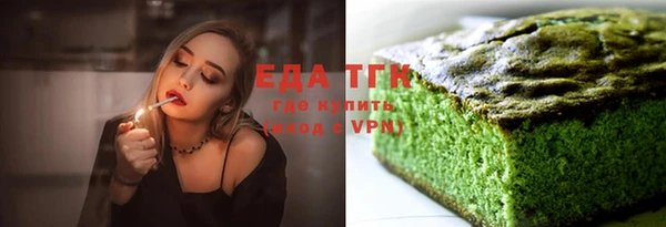 индика Елизово