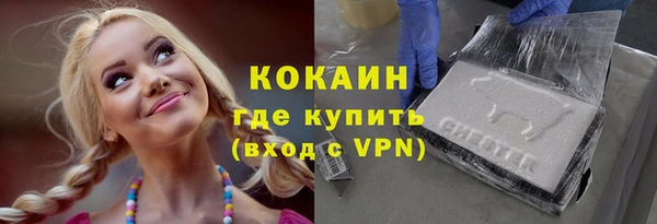 крисы Елабуга