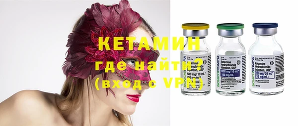 индика Елизово