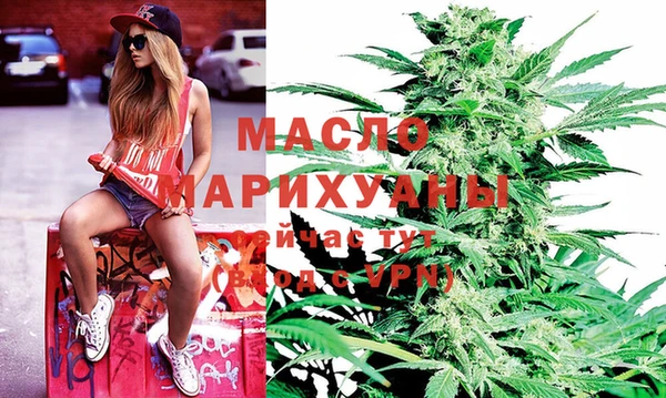 индика Елизово
