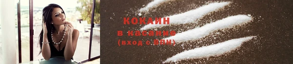 крисы Елабуга