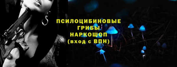 крисы Елабуга