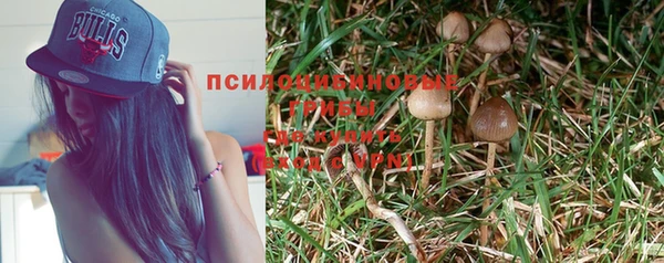 крисы Елабуга