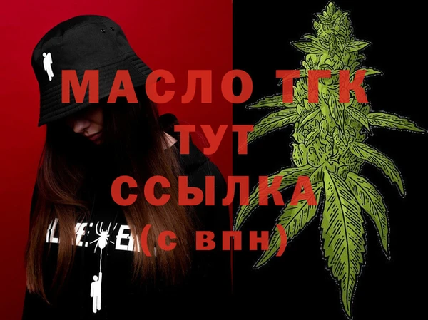 крисы Елабуга