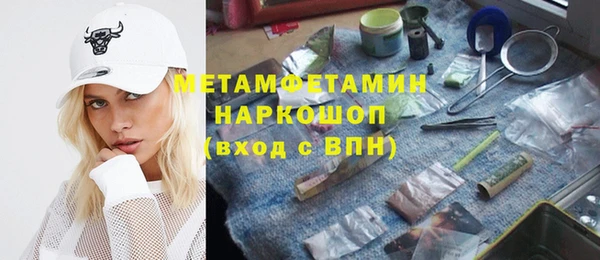 индика Елизово
