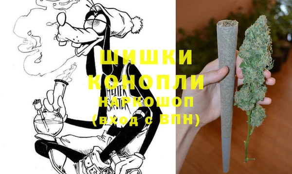 крисы Елабуга