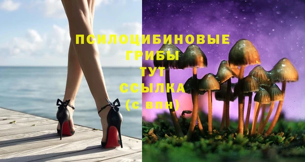 индика Елизово