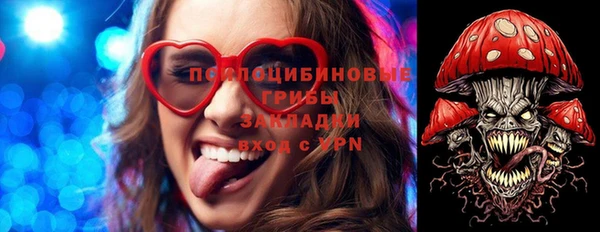 mix Ельня