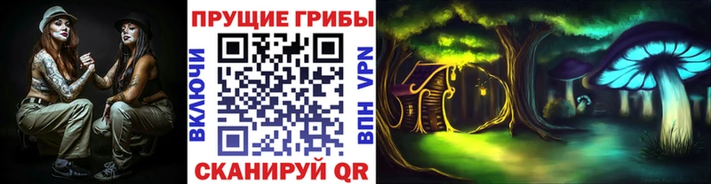 Галлюциногенные грибы GOLDEN TEACHER  Дербент 